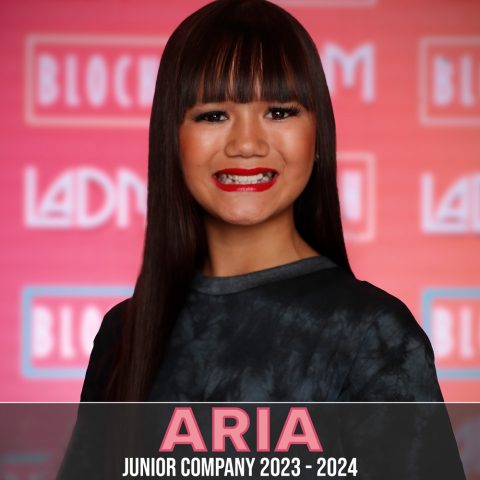 ARIA CHITWOOD